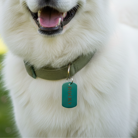 Paw-Tag | Mεταλλική ταυτότητα σε σχήμα στρατιωτικό – Custom Χάραξη