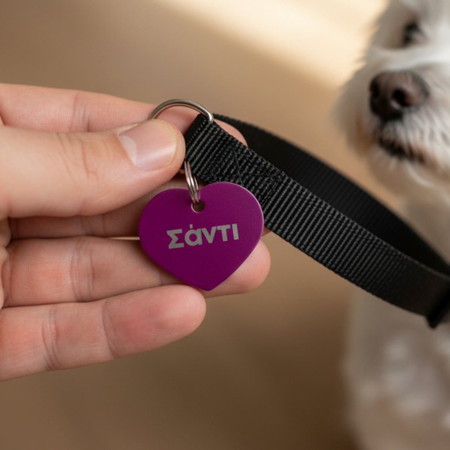 Paw-Tag | Μικρή Μεταλλική ταυτότητα σε σχήμα καρδιάς – Custom Χάραξη