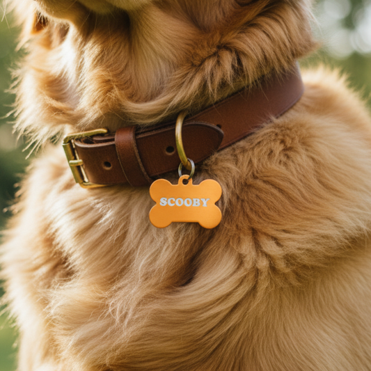 Paw-Tag | Μεγάλη Μεταλλική ταυτότητα σε σχήμα κόκκαλου – Custom Χάραξη