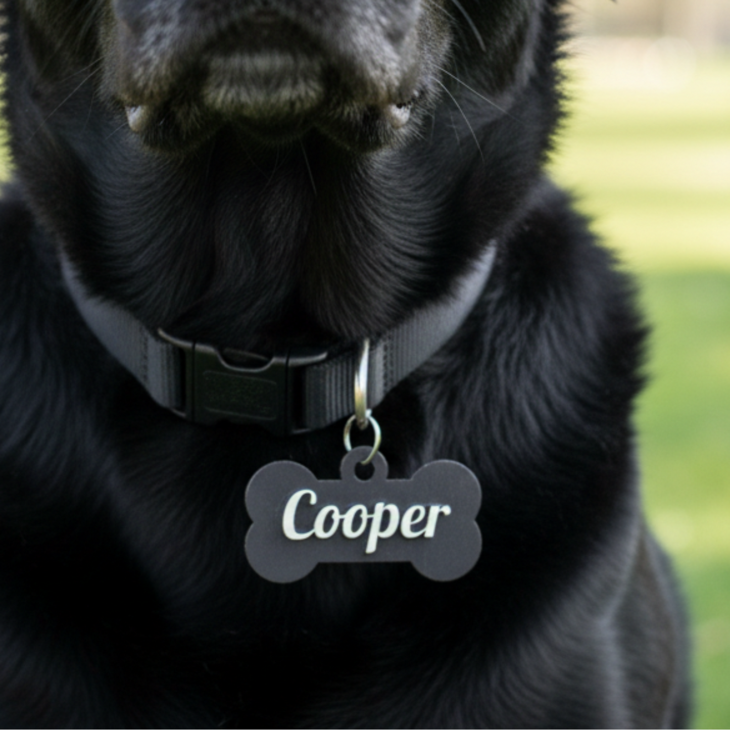 Paw-Tag | Μεγάλη Ξύλινη ταυτότητα σε σχήμα κόκκαλου – Δύο επιπέδων