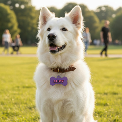 Paw-Tag | Μεγάλη Ξύλινη ταυτότητα σε σχήμα κόκκαλου – Δύο επιπέδων